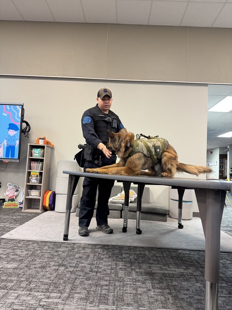 Chapman Elementary School tweet media