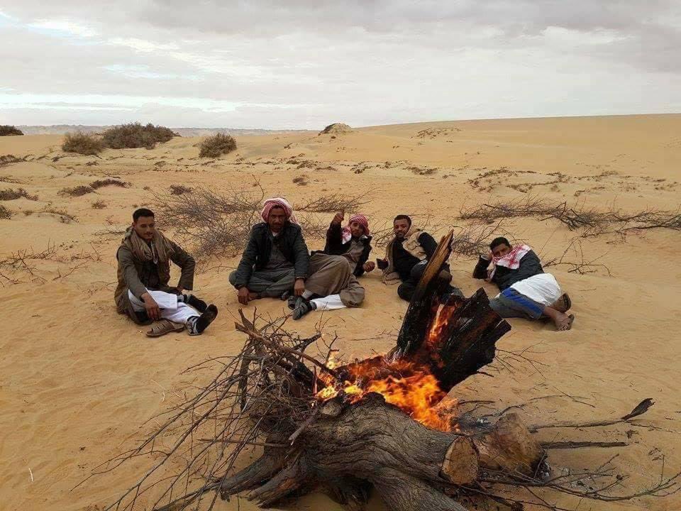 ويذكر بوركهارت١٨١٢م ان قبائل وسامة الكفة حافظوا على الخيل العربية من السلالات الخمس المشهوره.

وقد شنت قبائل شمال مصر الشرقي غزوة على الجوابر من العوازم وهم غائبين عنها فوصل الخبرإلى الدعايجة من بني رشيد فطاردوهم من نواحي قنا إلى اسيوط واسترجعوا الابل وكسبوا سلاح وخيل وهجن الغزاة