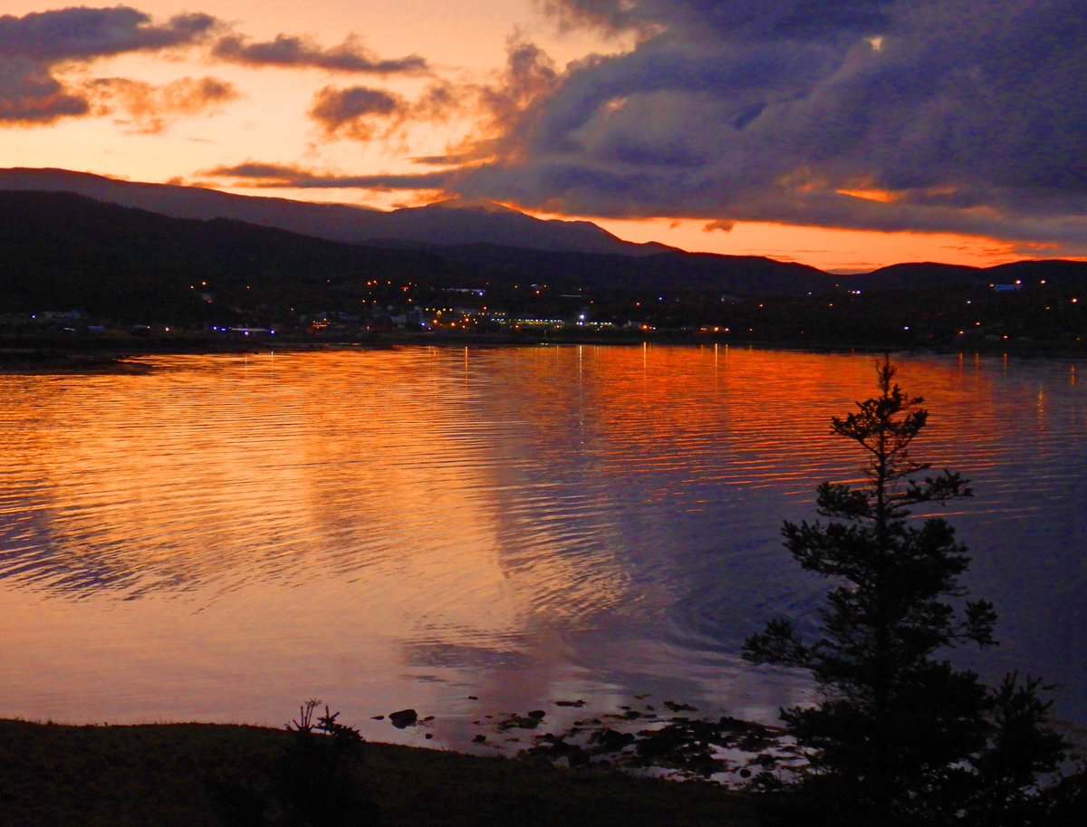 stan_sdcollins's tweet photo. A beautiful colourful sunrise in the harbour here this morning. Rocky Harbour is well known for its frequent sunrises and sunsets as we are located right on the water facing west. https://t.co/bFwN9w05hr