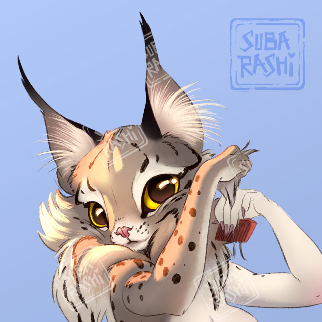 We Are Subarashi (@wearesubarashi) on Twitter photo 