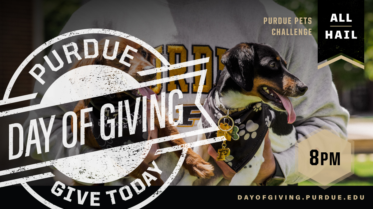 Purdue ASEC (@purdueasec) on Twitter photo Some of our fans have little paws, wagging tails, and even scaly skin! This hour, when you tag us in a photo of your pets in Purdue gear, you could help us win $800 in bonus funds. Be sure to use <a href="/PurdueASEC/">Purdue ASEC</a> and #PurdueDayofGiving in your post! Some of our fans have little paws, wagging tails, and even scaly skin! This hour, when you tag us in a photo of your pets in Purdue gear, you could help us win $800 in bonus funds. Be sure to use <a href="/PurdueASEC/">Purdue ASEC</a> and #PurdueDayofGiving in your post!