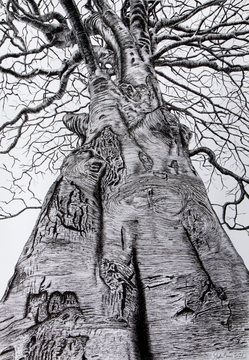 #art #artfinder #contemporarypaintin #inkdrawing 
ARTFINDER: The Essence of my friends - 9 by Stefan Fierros - This artwork is a large ink drawing in this serie… - bit.ly/40l2Gwo via <a href="/artfinder/">Artfinder</a>