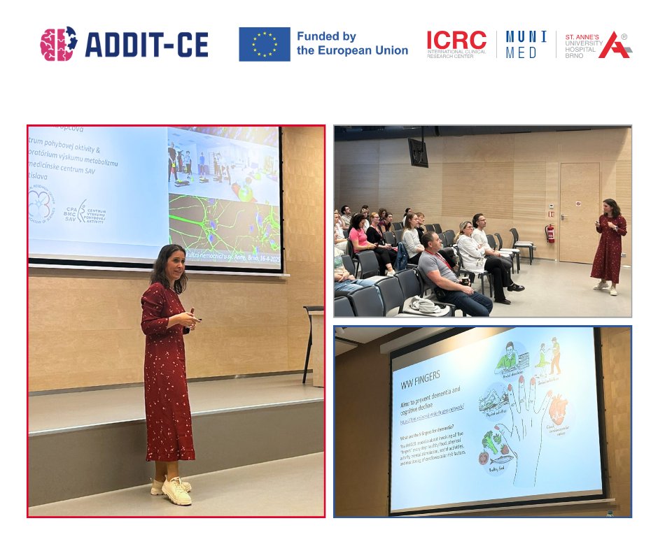 💡 Prof. Barbara Ukropcová (Slovak Academy of Sciences) visited us with an inspiring talk on how physical activity can protect the brain and memory. As part of the ADDIT-CE project (where ICRC is a proud partner), she explores non-pharmacological ways to delay cognitive decline.