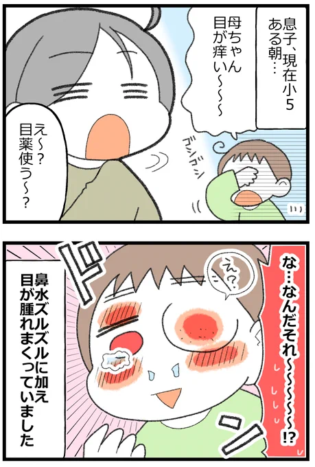 ハウスダストのアレルギー性鼻炎に悩んでいた子どもに「舌下免疫療法」を試してみた(完結)0/7 