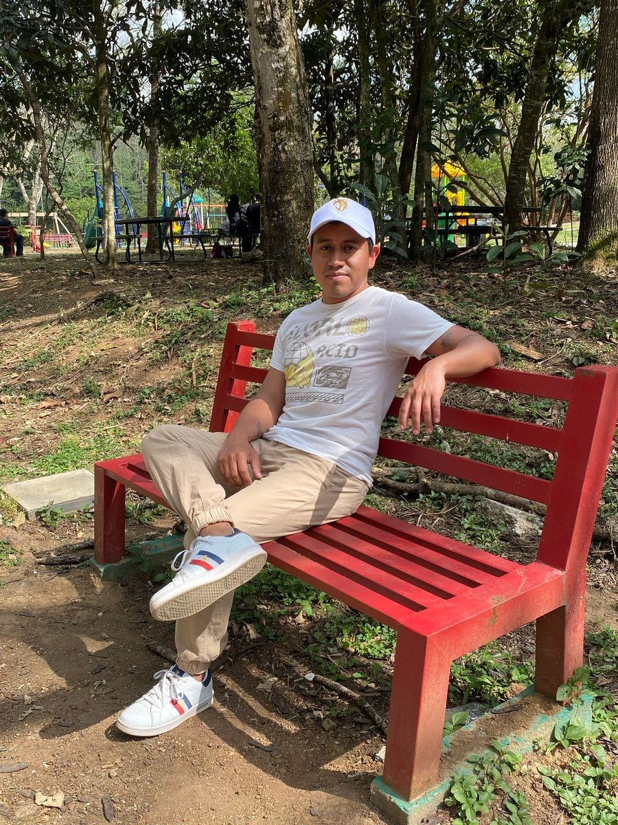 MartinGm263's tweet photo. 🌱✨☀️ https://t.co/FqokSXRsUw