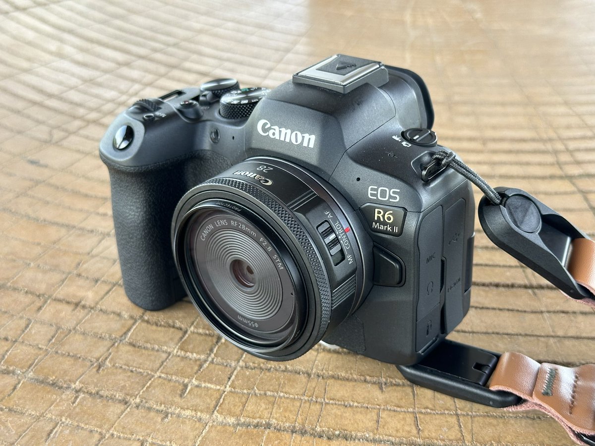 kuragon_oyakata's tweet photo. 今日の装備はEOS R6 Mark2にRF28mm F2.8 STM。単焦点とはいえフルサイズ機でこの大きさはなかなかです。写りも悪くないです。望遠レンズメインの時に、使わないかもしれないけど1本カバンに入れておくと、広角も何とかなるお助けレンズ。

#canon #rf28mm https://t.co/iygUsi2yCX