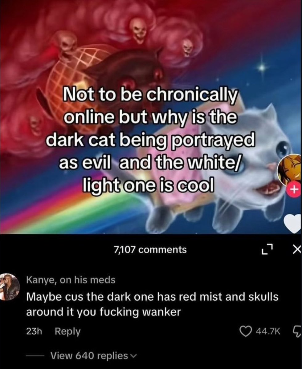 Braindead Bird App (@tragicbirdapp) on Twitter photo 