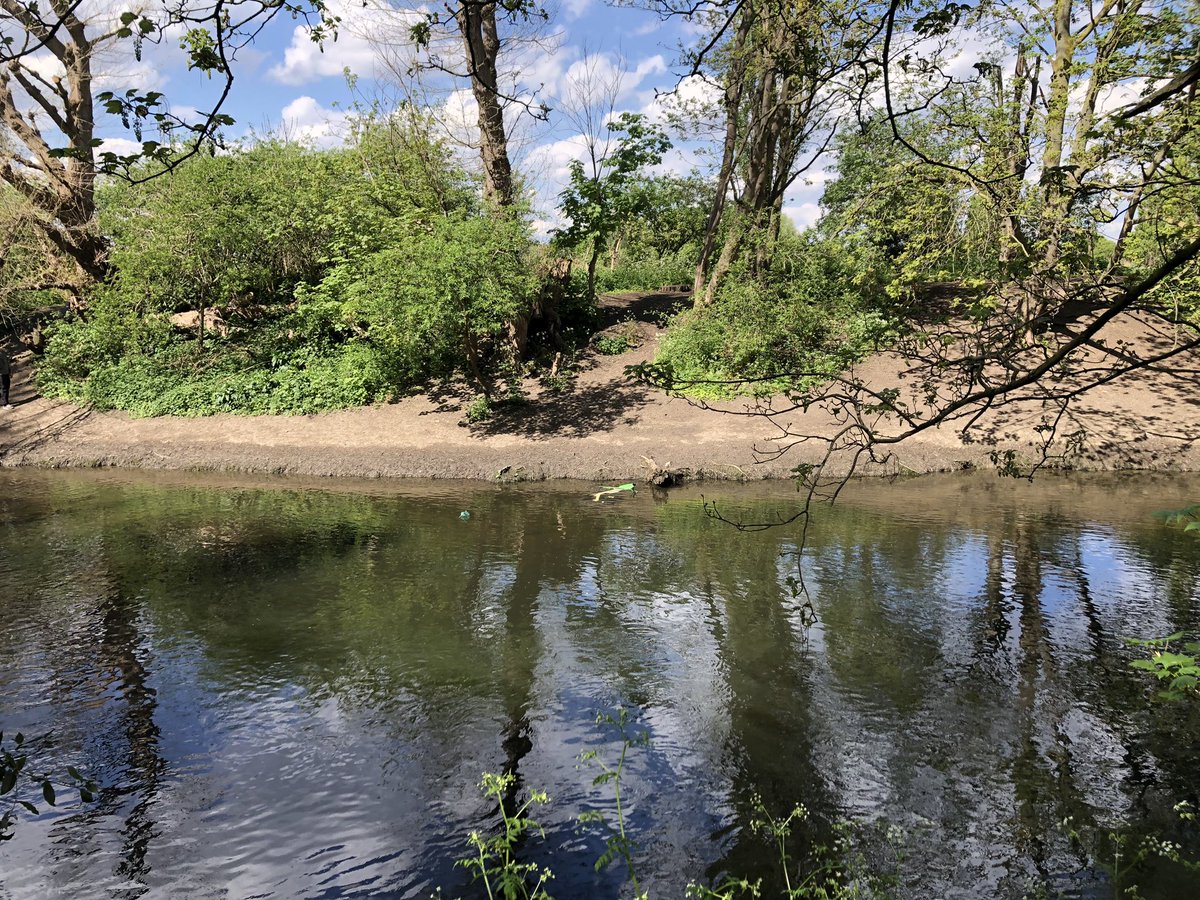Wildlife Gardeners of Haggerston tweet media