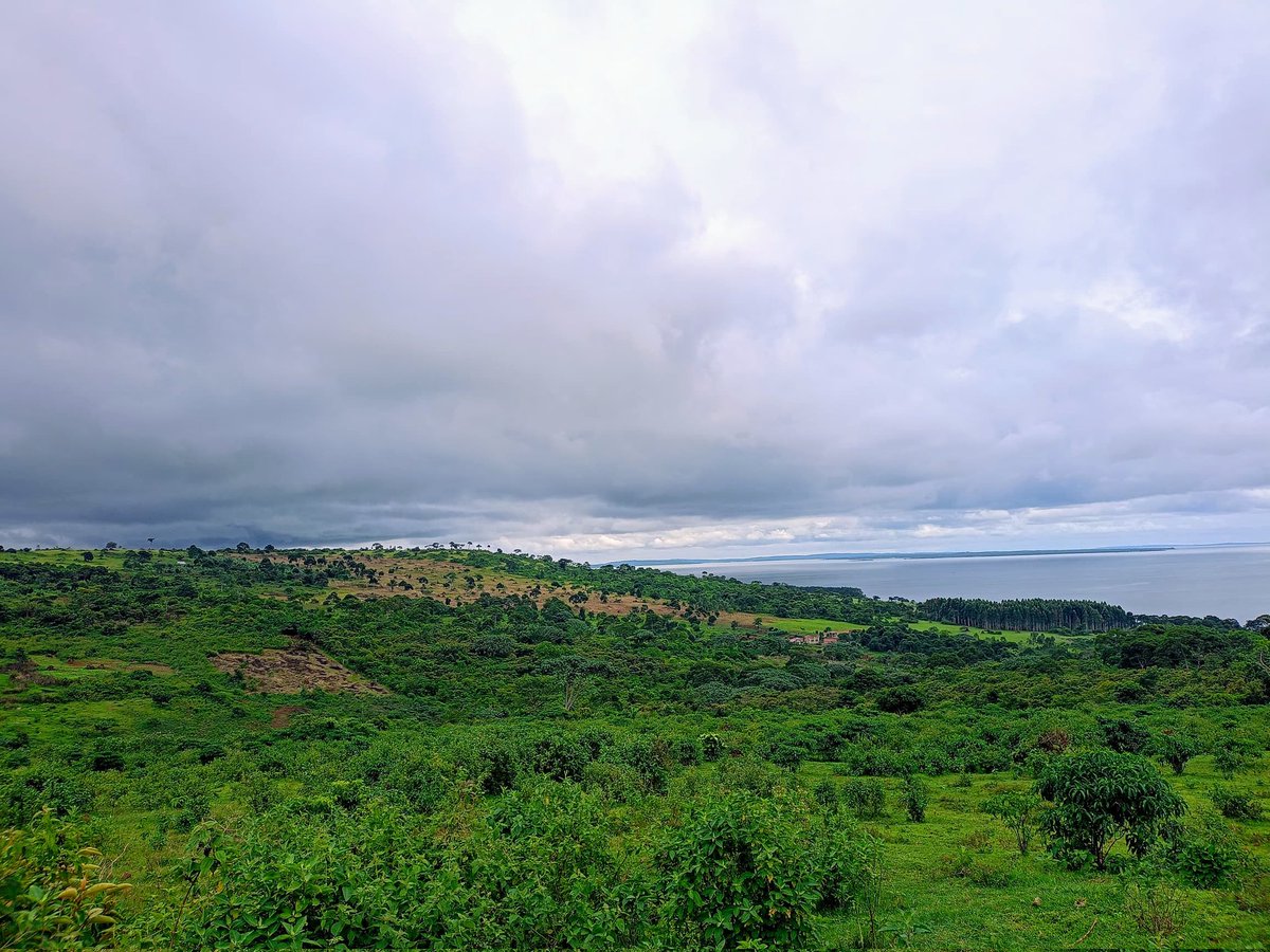 Nkokonjeru-Buikwe Lakeview Estate.

#Stunningview #HilltopLiving
#WaterfrontHome

@ only 8 Million | Payment plan. 

📃 Titles Available

You can also follow the map below 👇

maps.app.goo.gl/AsJ2fbRvmaYRDr…

📞 0754147747 or 0765237329

Pastor Kasese Baganda Man of God