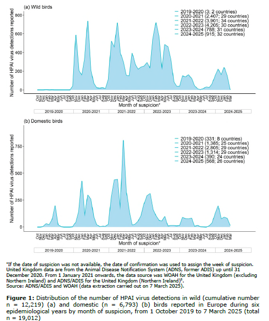 🦉HPAI A(H5N5) outbreaks in wild birds increased, with waterfowl as primary hosts. A new HPAI A(H5N1) genotype (D1.1) was detected in US dairy cattle. Domestic cats and wild carnivores in Europe were infected again after a year-long absence. 
#h5N1