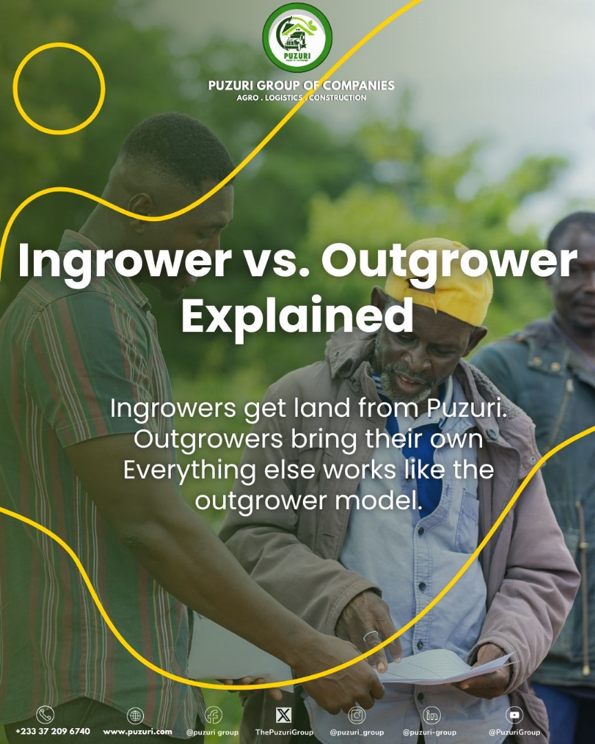 ThePuzuriGroup's tweet photo. Grow More. Earn More.
Farming just got easier. Let’s grow together.
Join the Puzuri Ingrower Scheme 
#EmpoweringGrowth #BuildingFutures #SmartFarming #AgriGhana #FarmWithPurpose https://t.co/j84sdCVyOd