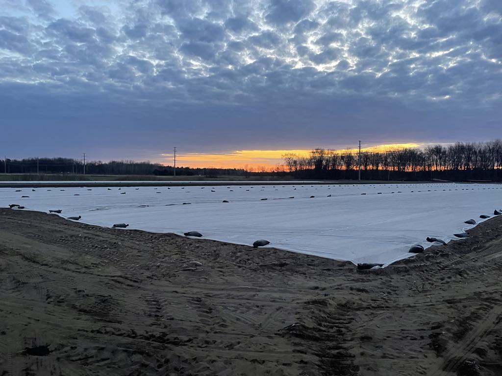 It's been busy in the fields trying to get as much planted as we can! Here are some freshly seeded sweet corn, beets, potatoes, carrots and beans that are all snug under frost cloth waiting for warmer days.