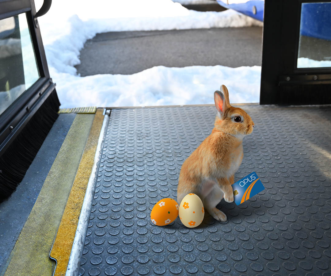 RTCQuebec's tweet image. Nous vous souhaitons une très belle fin de semaine de Pâques! 🐰🌷
Notez que nous ajustons notre service pour les congés fériés du vendredi 18 avril et du lundi 21 avril. Pour tous les détails : rtcquebec.ca/horaires-et-tr…