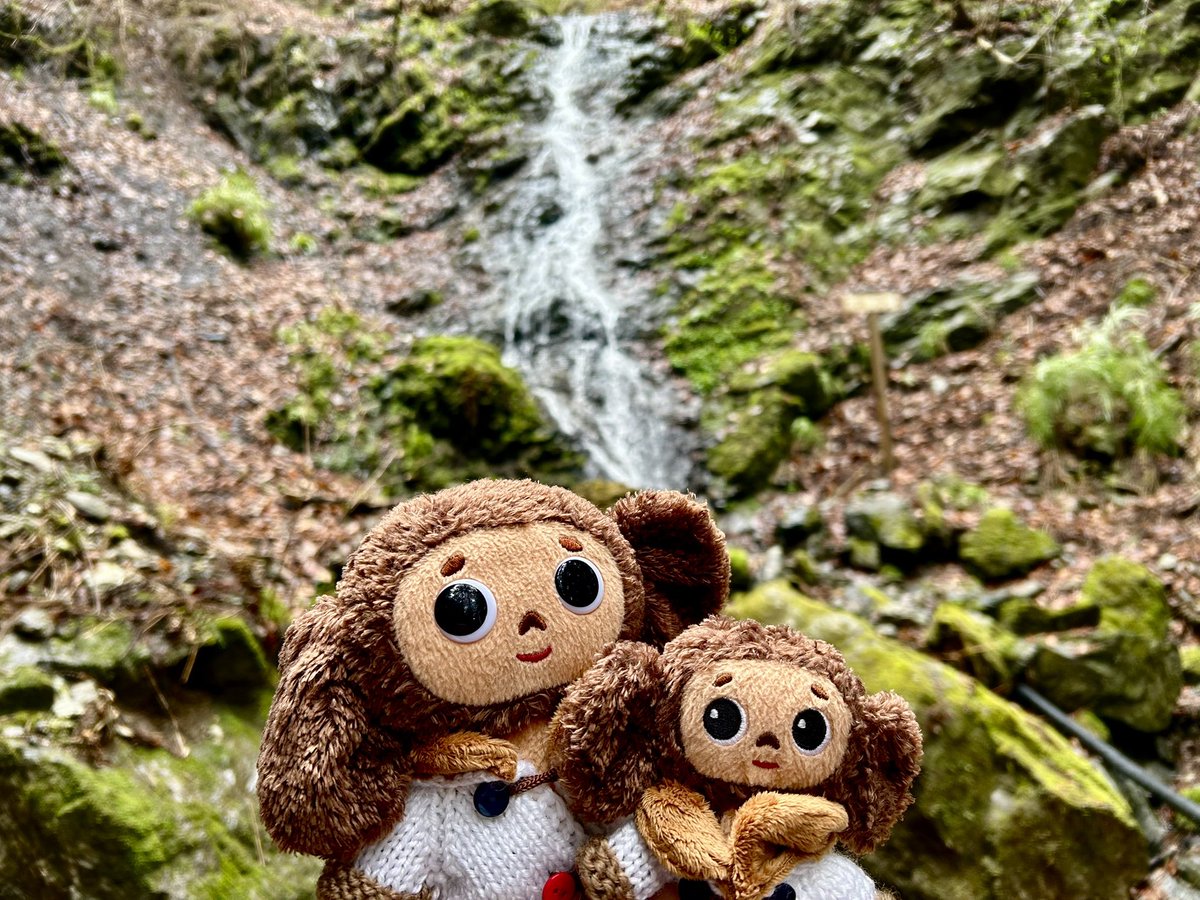 Cheburashka_ak0's tweet photo. 武甲山⛰️ https://t.co/lAnJhzjZ4P