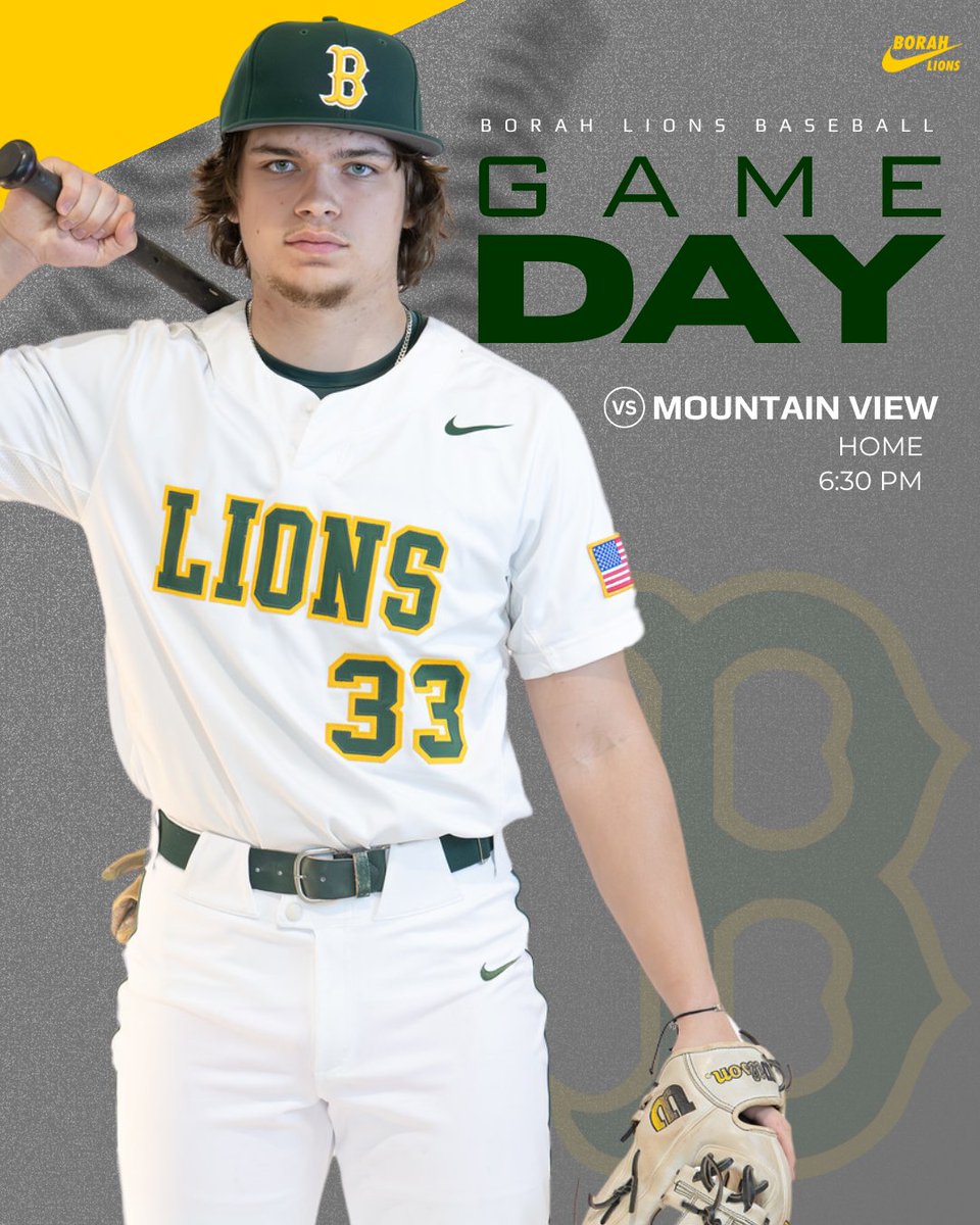 Borah Baseball tweet media