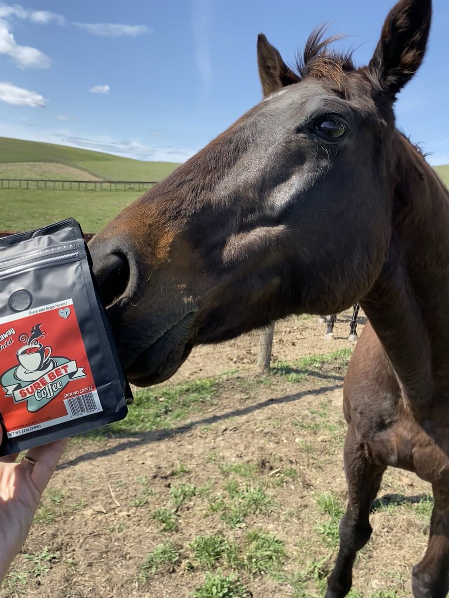 Hackleton enjoys the robust, rich  satisfaction of his ⁦<a href="/surebetcoffee/">Sure Bet Coffee</a>⁩ each morning before starting work at his debonair haberdashery!
