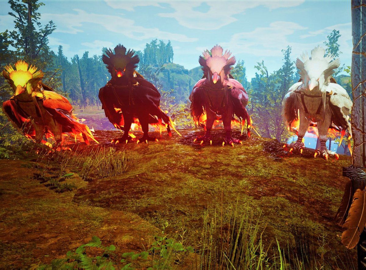 PlayCitadel's tweet photo. These birds may come in an array of colours, but don't be fooled, their eggs are not filled with chocolatey goodness. Now, time to find that rabbit...🥚🐰 https://t.co/R0bmGcPO2m