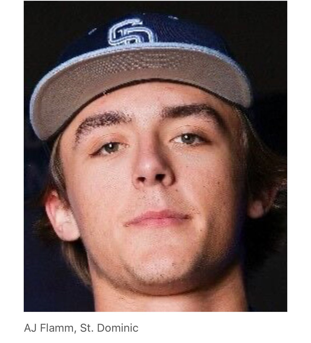 St. Dominic HS Baseball tweet media