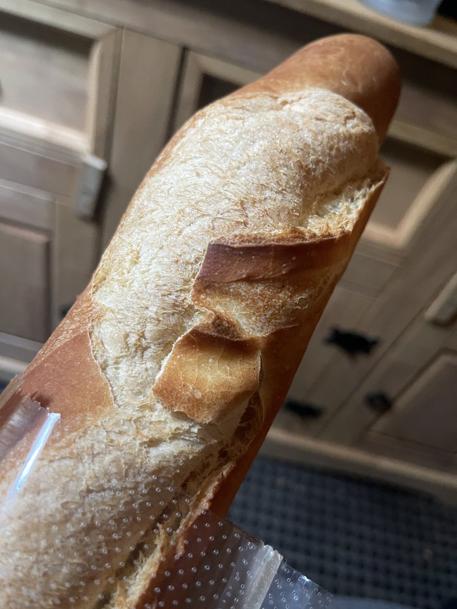 JLP_officialxxx's tweet photo. Soupe aux champignons, pain, la brique et Vodka auto-éliminatoire… what a time to be alive! Don’t worry, we will both be back home soon and it’ll be all about the porn again :) https://t.co/OWexpSB1Q1