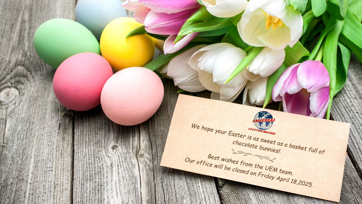 UEM_ca's tweet photo. Happy Easter! 🐇 #uem #happyeaster #2025 #springishere #ThursdayMorning #spring #canada #mississauga #electric #motors https://t.co/xvFnHPIsyh