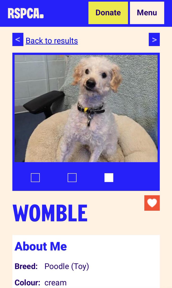 crying at this rescue dog that looks like bad taxidermy