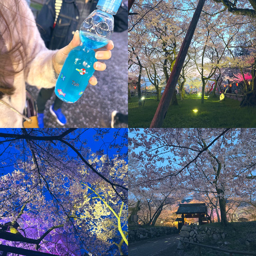 先週の火曜日にあすかが具合悪くなったから、水曜の朝会社に電話したら休んで良いよって言われて看病のつもりで3日間休んだら当然俺も具合悪くなり今週いっぱい休みになってまさかの2週間近くの連休！体調良くなって1週間近く経つから今日は桜🌸見に行ってきた！📷
仲良くコロナちゃんだったぜ🦠