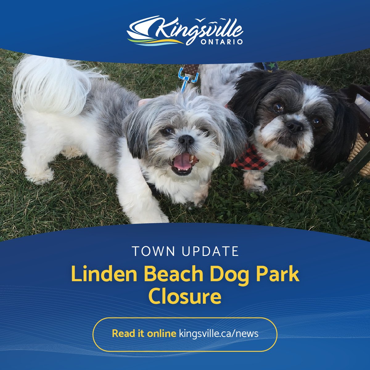 Linden Beach Dog Park will be closed this Saturday for the Dog Easter Egg Hunt! 

kingsville.ca/en/news/linden…