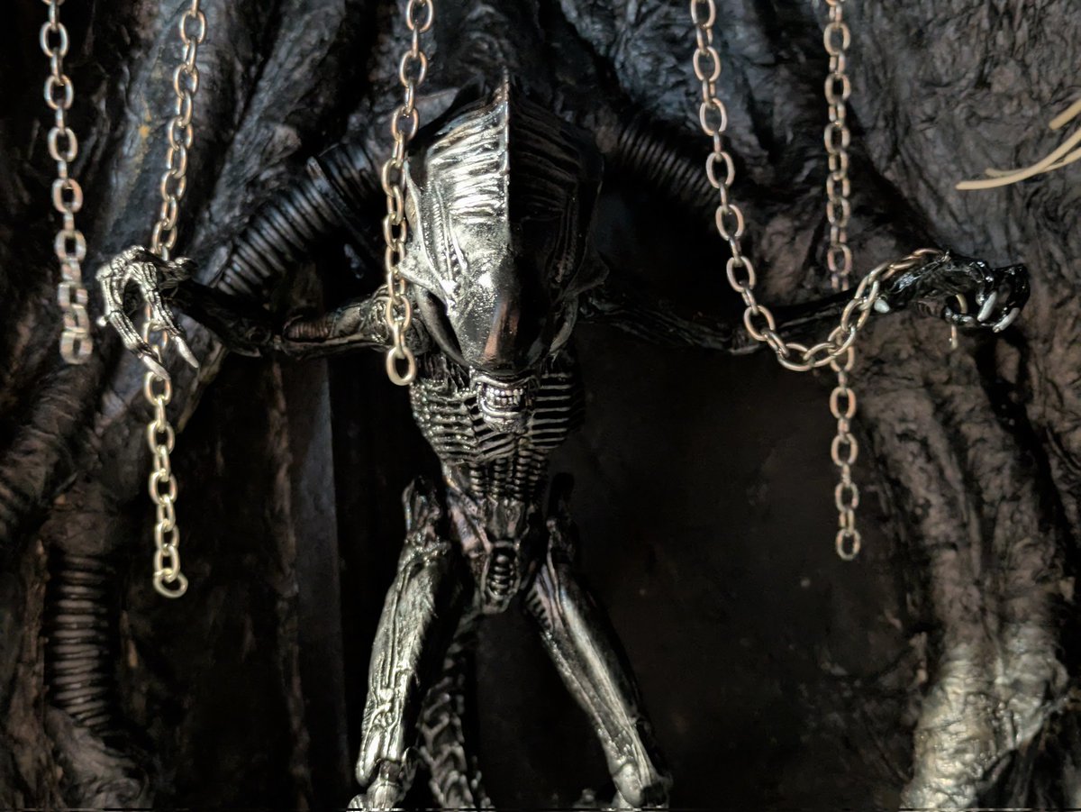 Custom "Cursor" Praetorian, evolved from a runner these specimens are slighter in build than other Praetorians but tend to be far faster allowing them to chase down prey 

Body is a dog alien with a 3D printed dark descent Praetorian crest

<a href="/NECA_TOYS/">NECA</a> <a href="/Mantisabbey/">WaitingforRetooledPredalien</a> <a href="/AlienAnthology/">Alien: Romulus</a>