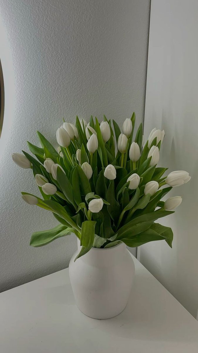 tutututututulip's tweet photo. White tulips 🌷 https://t.co/AzBR8Jteee