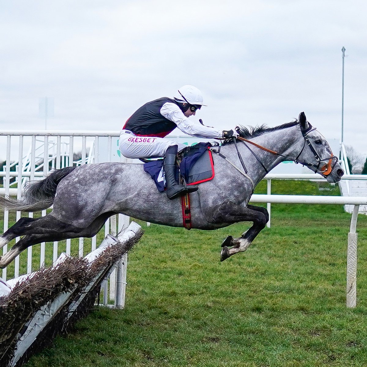 Racing Post tweet media