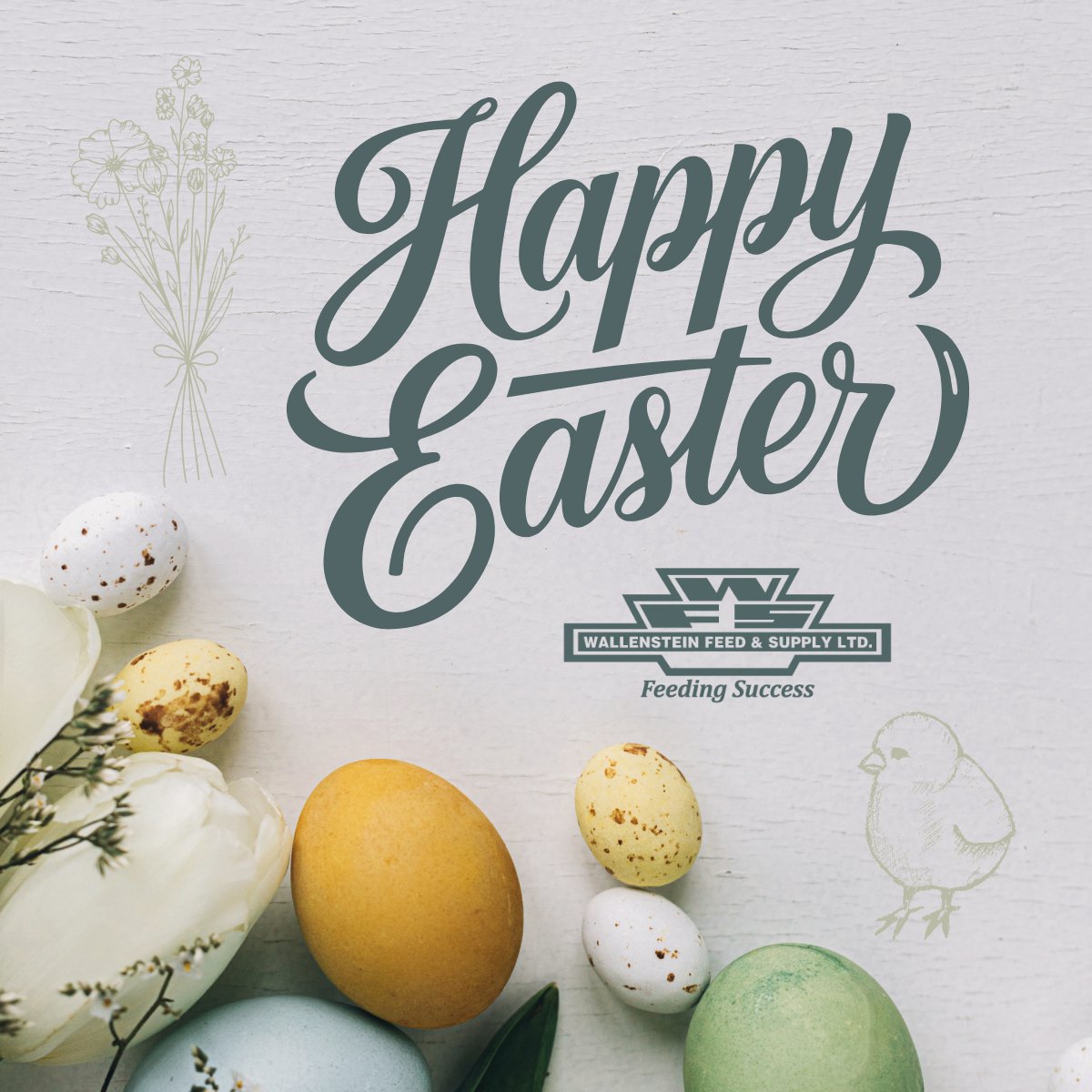 Happy Easter from all of us at WFS! 🐣🌷🥚
Wishing you a wonderful day spent with those who matter most.