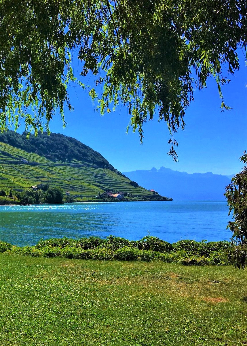 Lavaux-Switzerland.