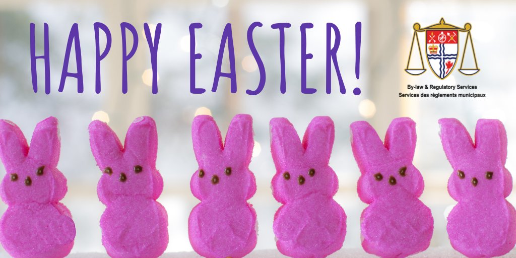 Wishing everyone who celebrates a joyful and peaceful Easter Sunday!  

May your day be filled with hope, happiness, and time well spent with loved ones. #OttCity