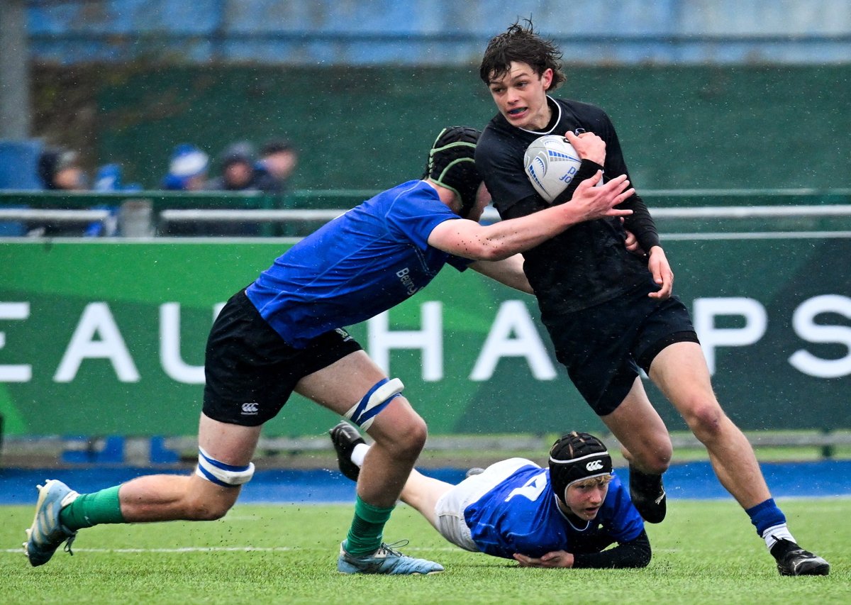 Leinster Domestic tweet media