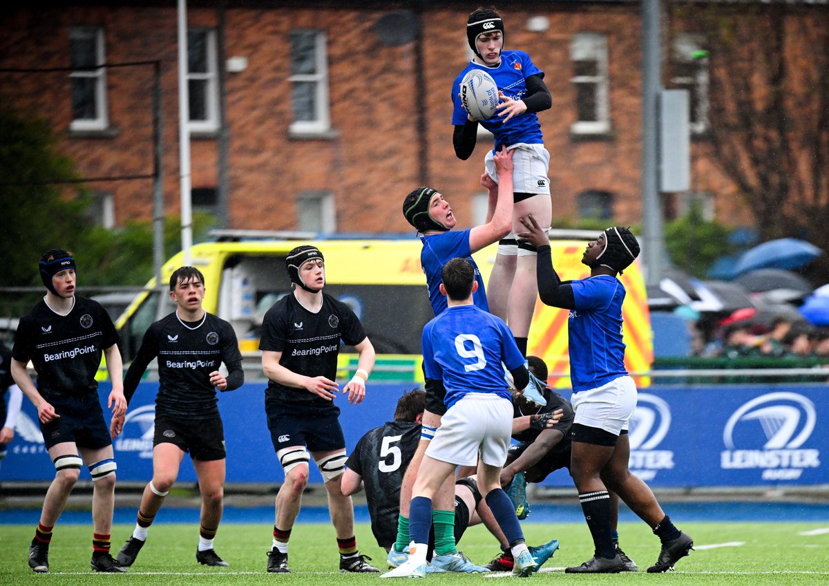 Leinster Domestic tweet media