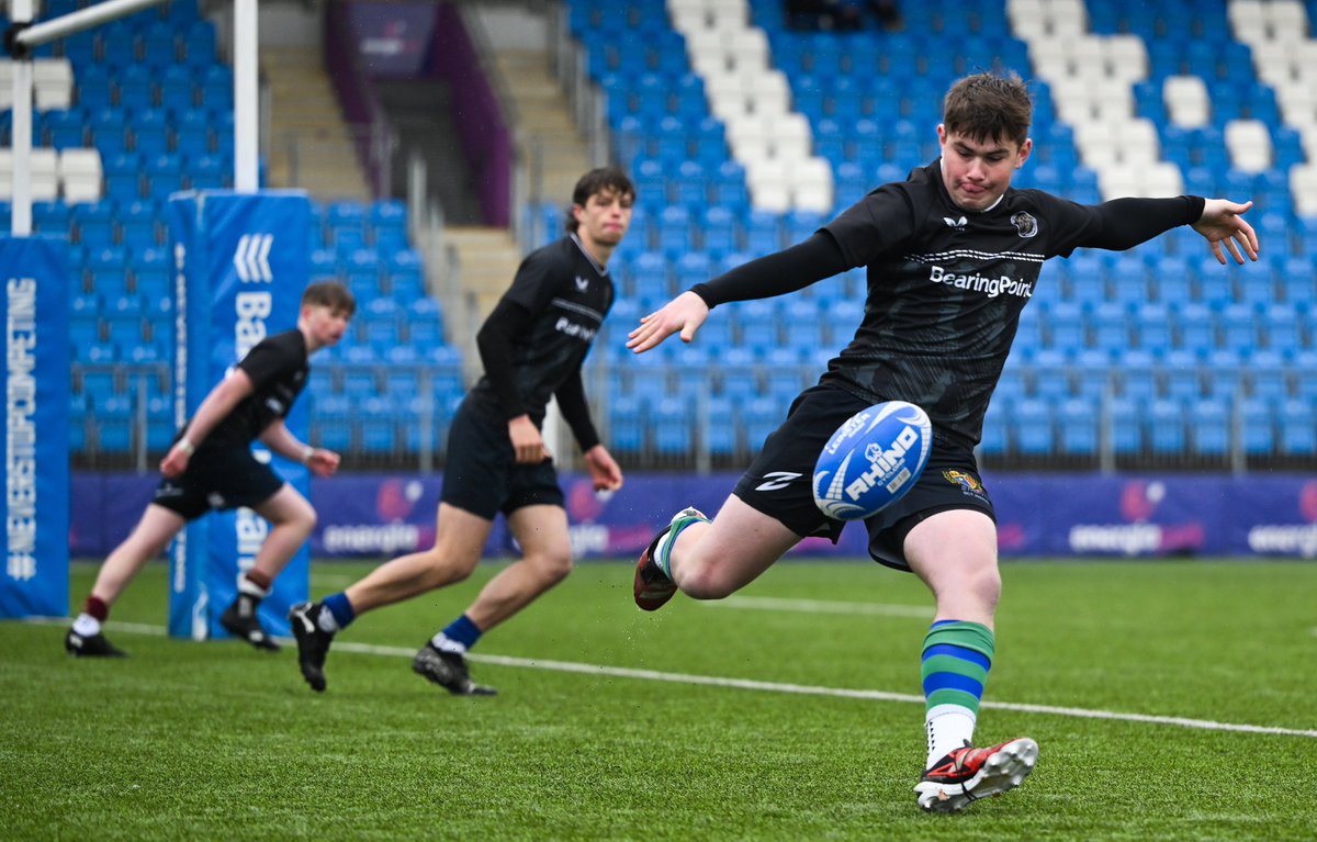 Leinster Domestic tweet media