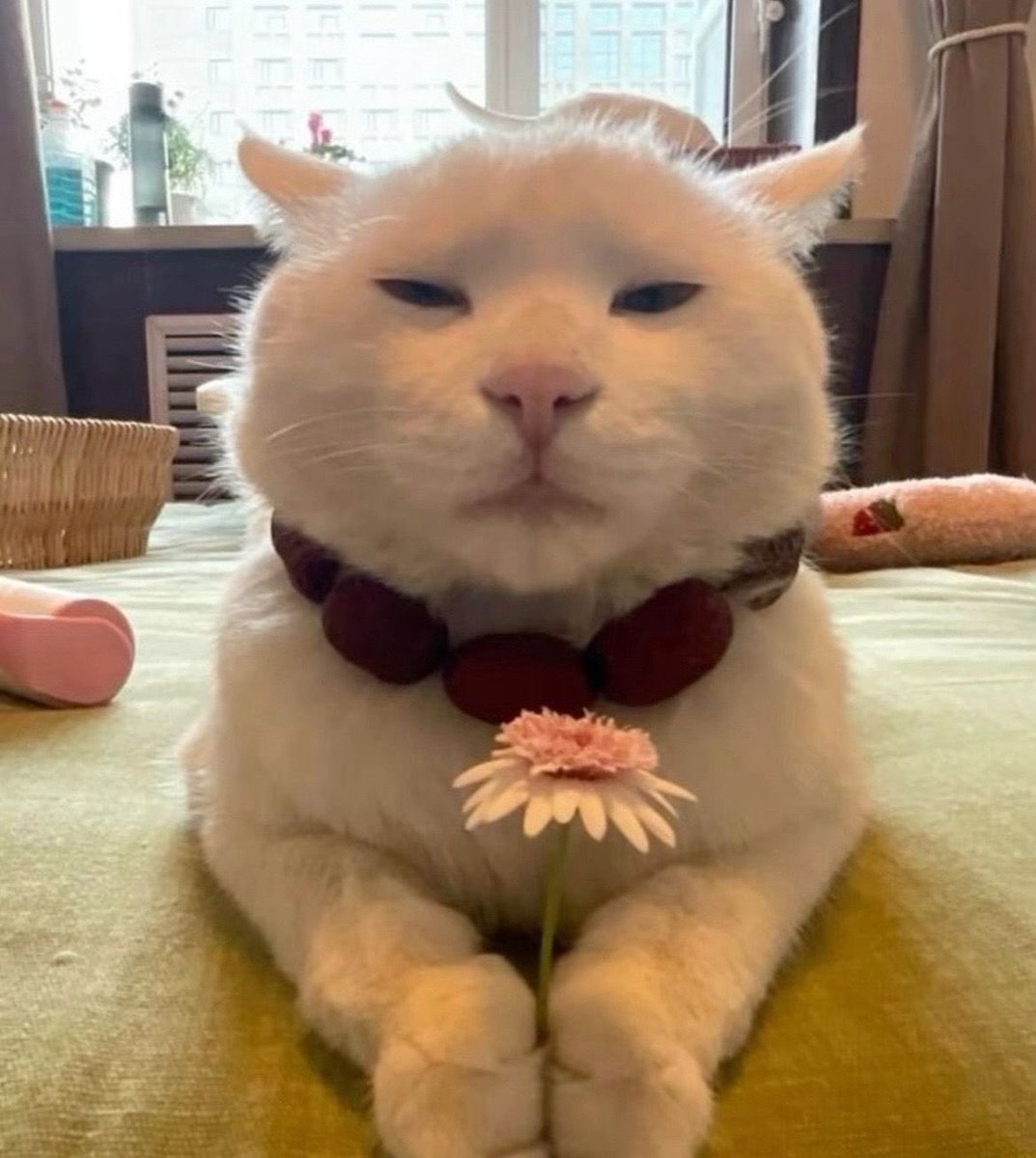 since it was pretty close, i will be doing all of them