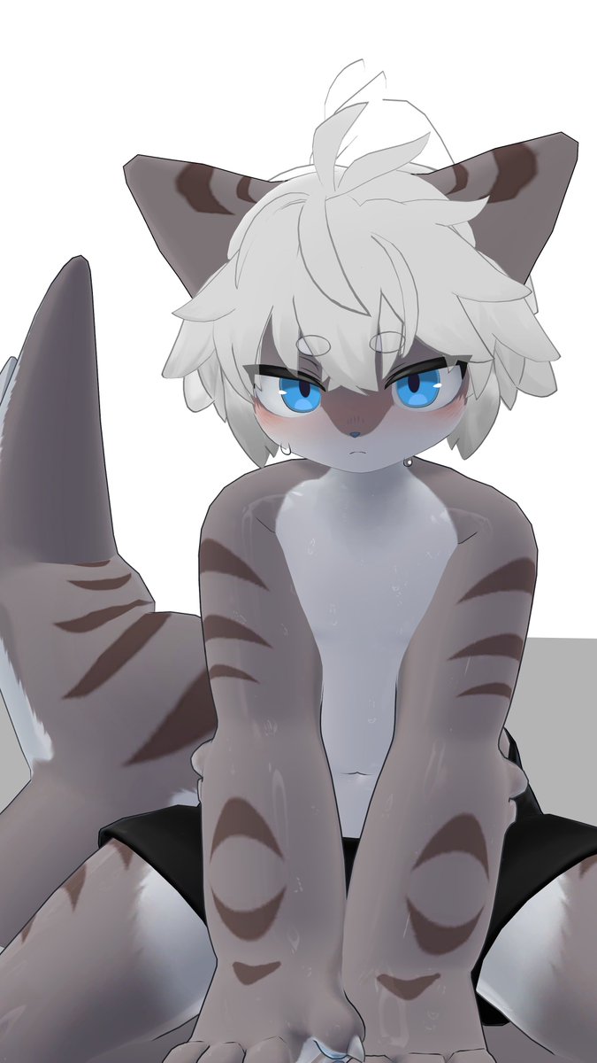 commision progressing🦈🐱