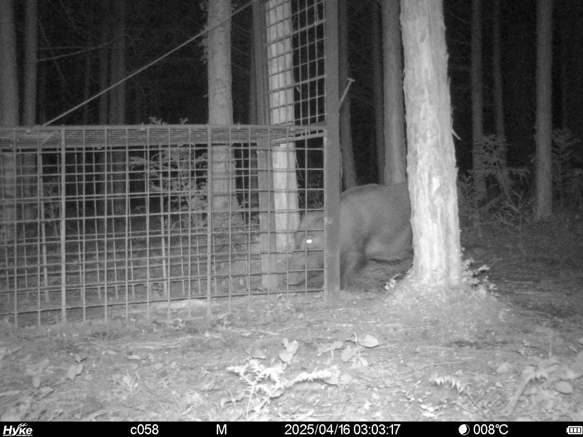 ゆりな@365日後に起業 tweet media