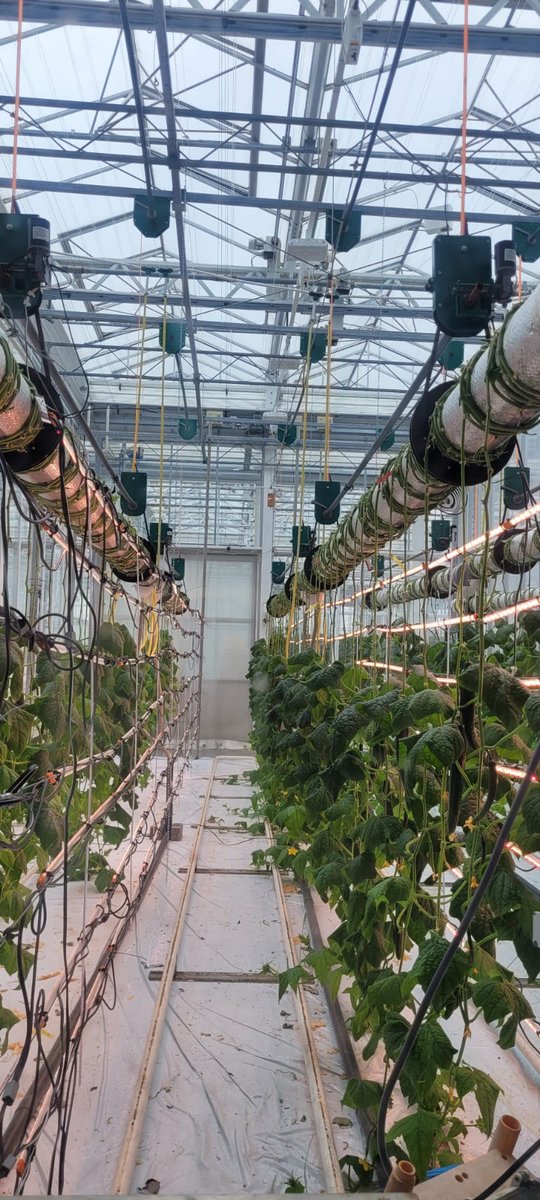 Netherlands Food Partnership (@nfp_sdg2) on Twitter photo From April 7โ11, #AsiaNetherlandsWeek 2025 brought ๐ณ๐ฑ + ๐ together to explore the #WaterForFood nexus.
With <a href="/ADB_HQ/">Asian Development Bank</a>, 7 Asia-Pacific nations & partners like <a href="/WUR/">Wageningen U&R</a>, @NWP_NL, <a href="/RVO_Nederland/">Rijksdienst voor Ondernemend Nederland</a>, & @NLFoodPartnerโwe shared bold ideas, field visits & value-driven finance. ๐ง๐พ๐ From April 7โ11, #AsiaNetherlandsWeek 2025 brought ๐ณ๐ฑ + ๐ together to explore the #WaterForFood nexus.
With <a href="/ADB_HQ/">Asian Development Bank</a>, 7 Asia-Pacific nations & partners like <a href="/WUR/">Wageningen U&R</a>, @NWP_NL, <a href="/RVO_Nederland/">Rijksdienst voor Ondernemend Nederland</a>, & @NLFoodPartnerโwe shared bold ideas, field visits & value-driven finance. ๐ง๐พ๐