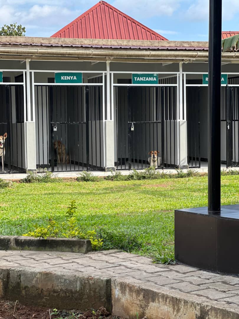 Easter season is here! 🥳
Are you having issues with securing your pet a place to stay during the festives? 
We have got you covered with a home away from home experience for your pet. 
Board your pet with us this Easter season. Call us on +256 780 301745.
#petcare #vetpal