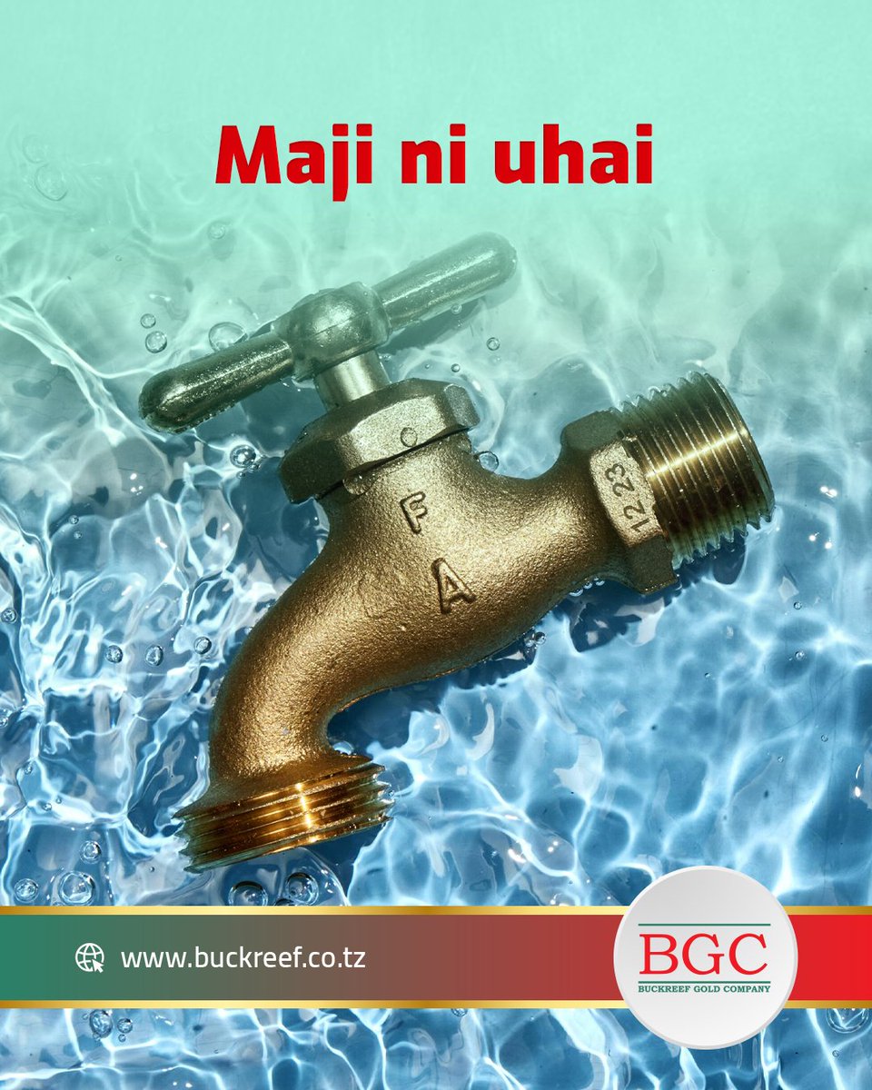 Buckreef Gold Project tweet media