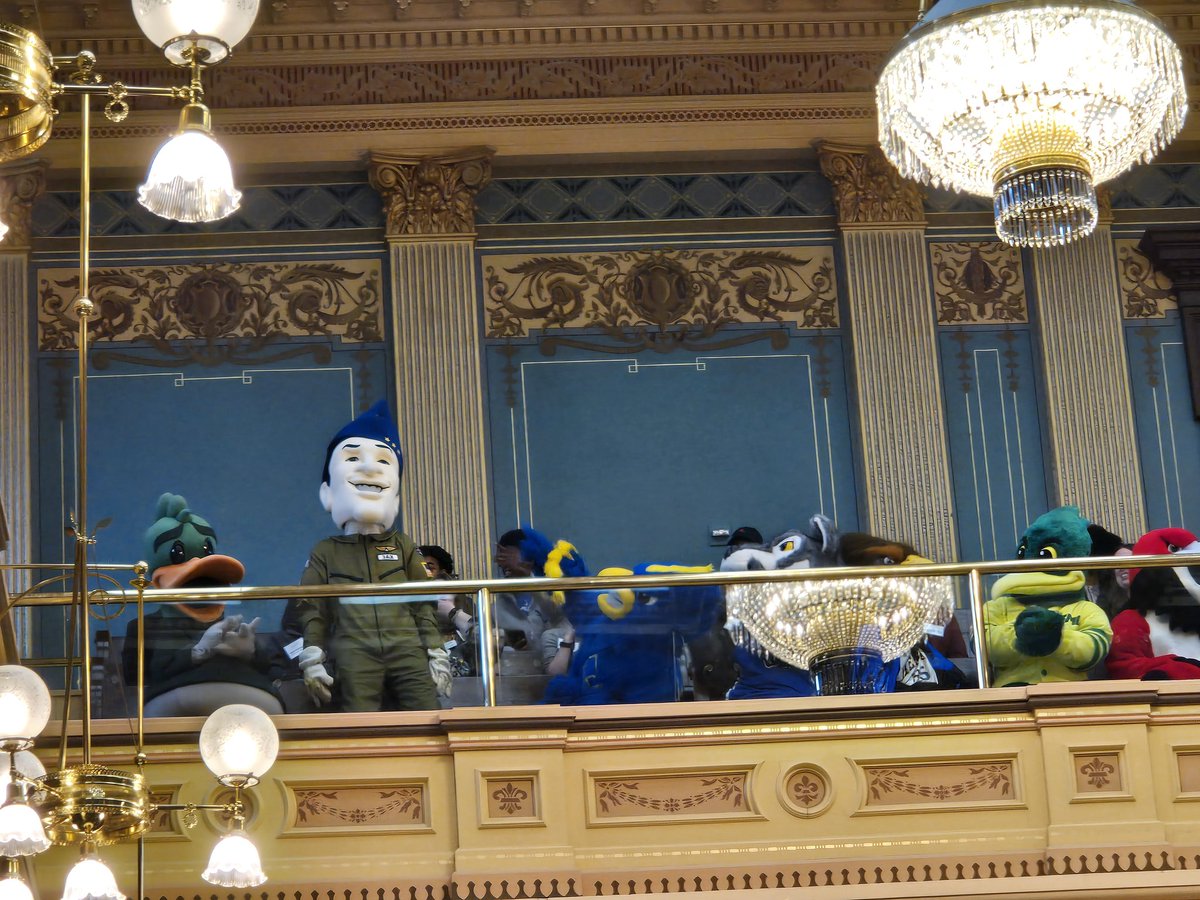 NSmithReports's tweet photo. Community College day. The mascots take over the Senate gallery... https://t.co/Uz8EBJNS1L