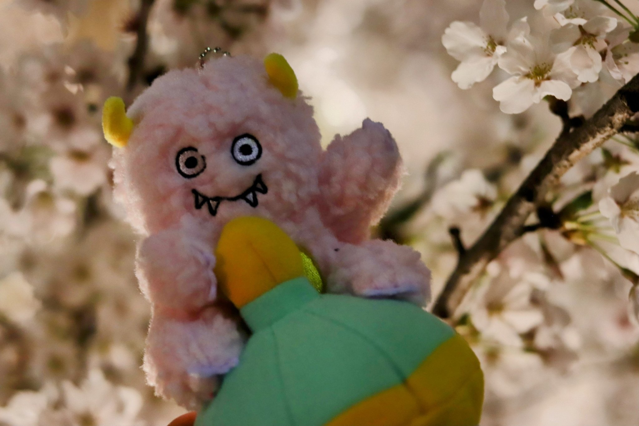 マルシィ 心の奥に潜む怪獣 Amazon.co.jp: マルシィ 心の奥に潜む怪獣 : おもちゃ