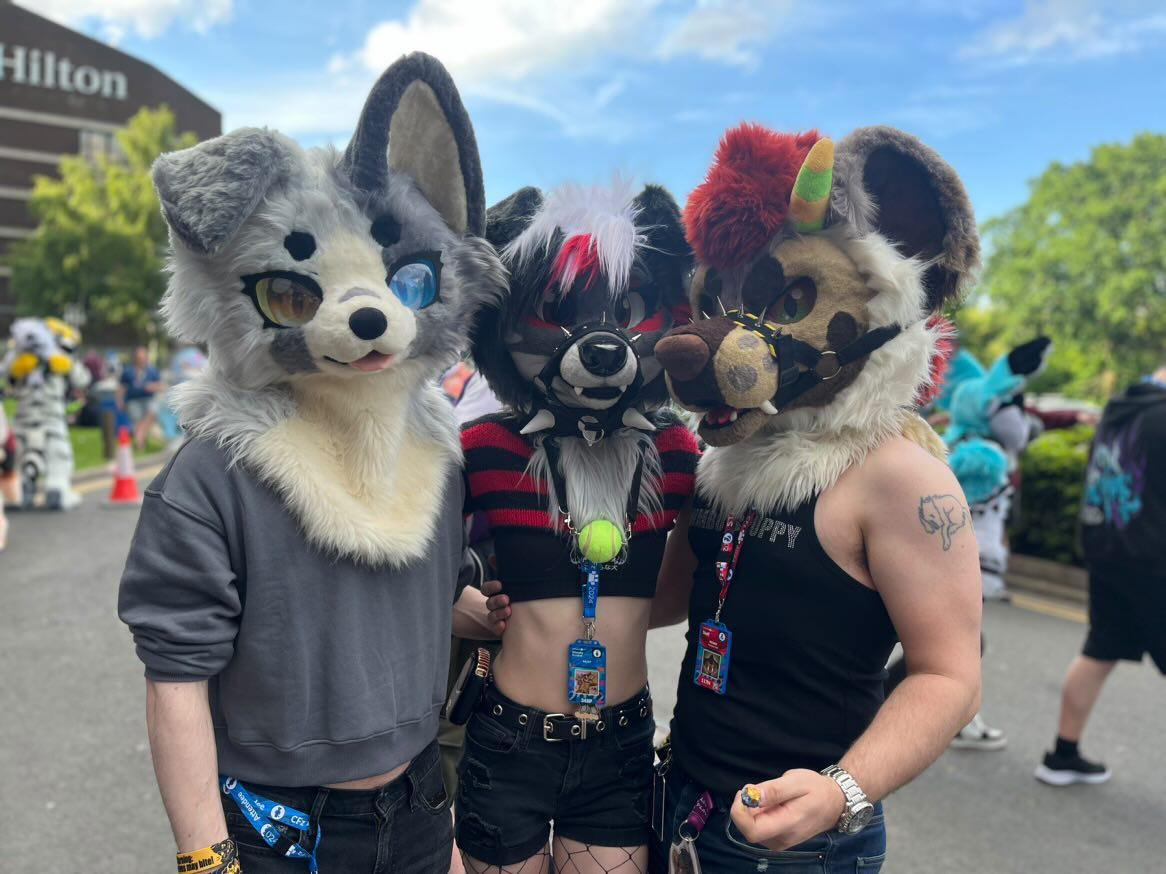 Guard_Mutt's tweet photo. My doggy besties💞 https://t.co/yfa8XLgQCA