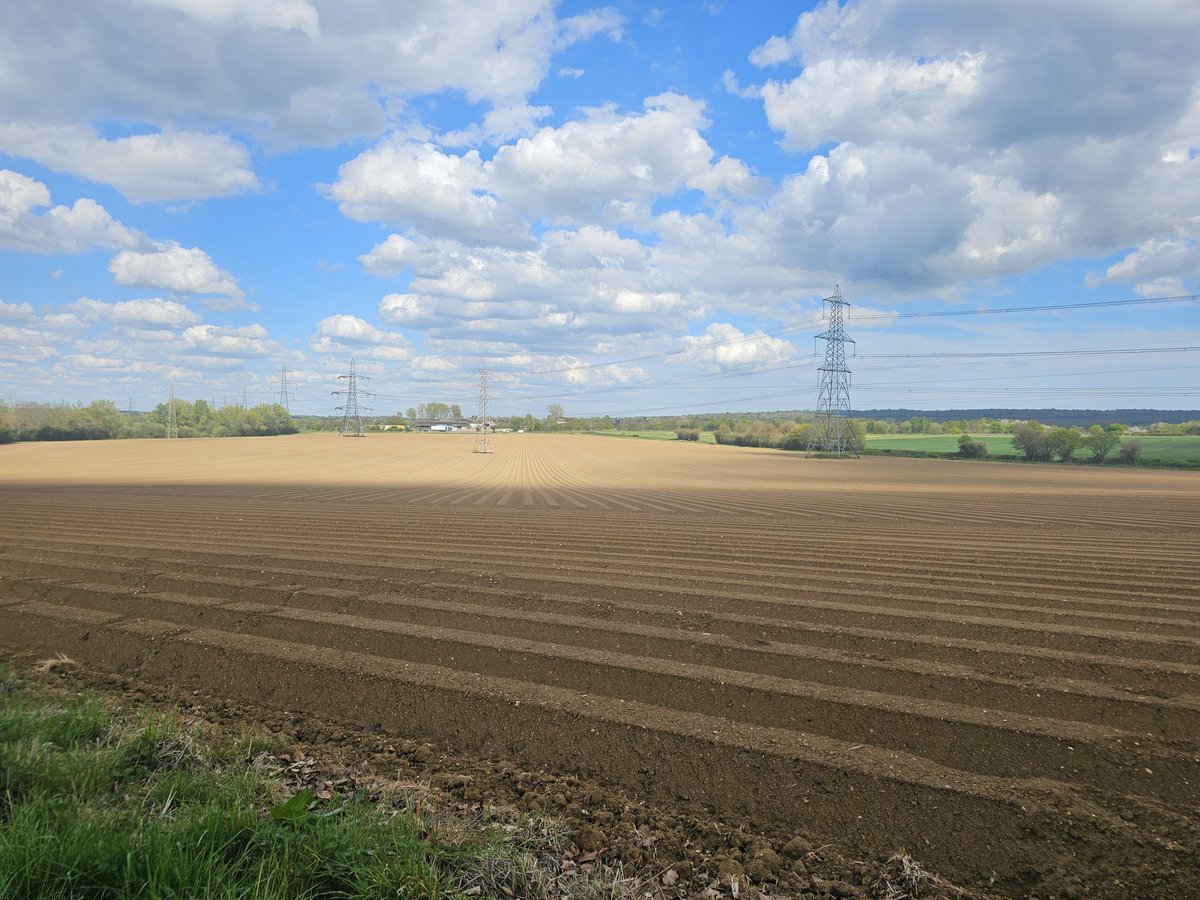 Crisp ridges ready for potatoes