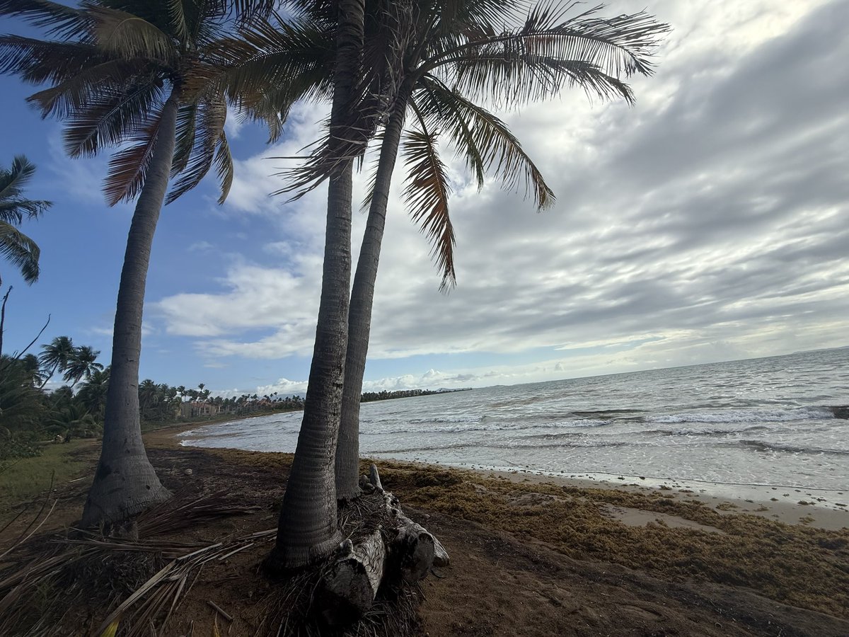 Almost a day without electricity and #PuertoRico feels amazing. Low humidity and sea breeze. Who needs AC. 🇵🇷