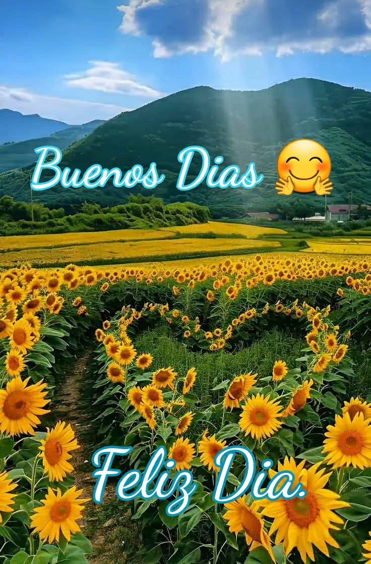 Buenos Días A Todos ❤️💜