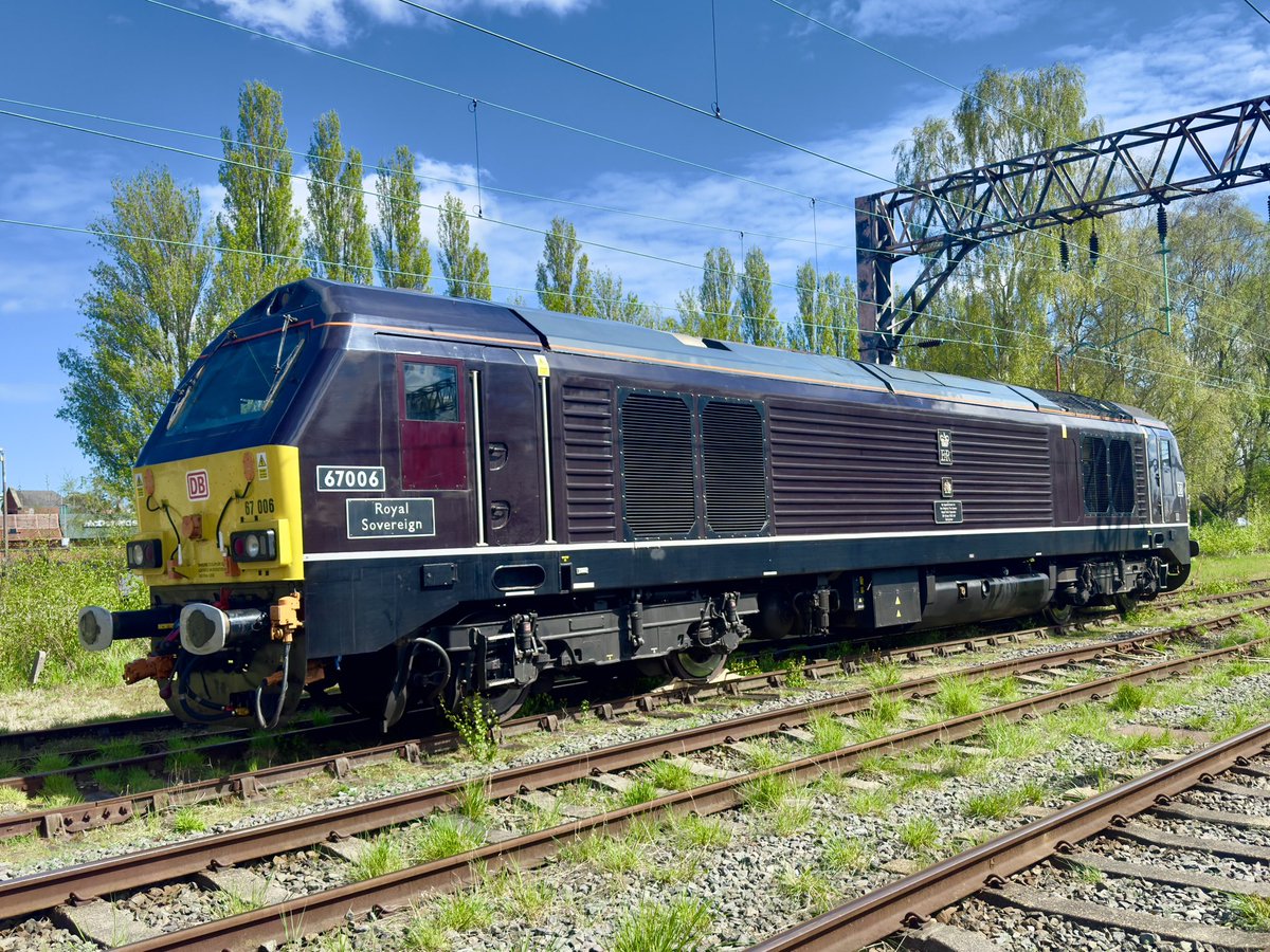 Amy Elizabeth tweet media