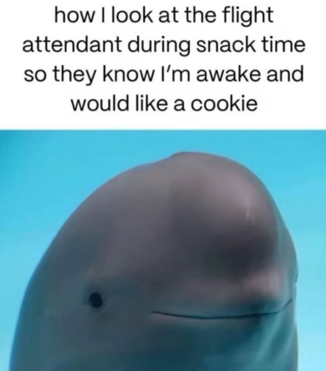 Conyewest69's tweet photo. Inspo @downeastshits #MemeThursday for a midweek pick me up https://t.co/HYZcySxoaw